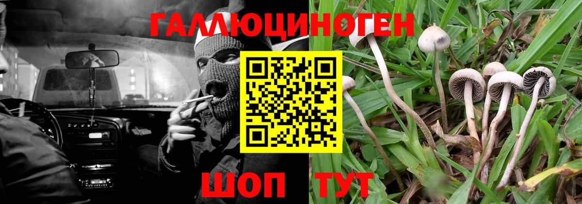 Галлюциногенные грибы мухоморы  Вход с VPN  Псилоцибиновые грибы GOLDEN TEACHER  Краснознаменск 