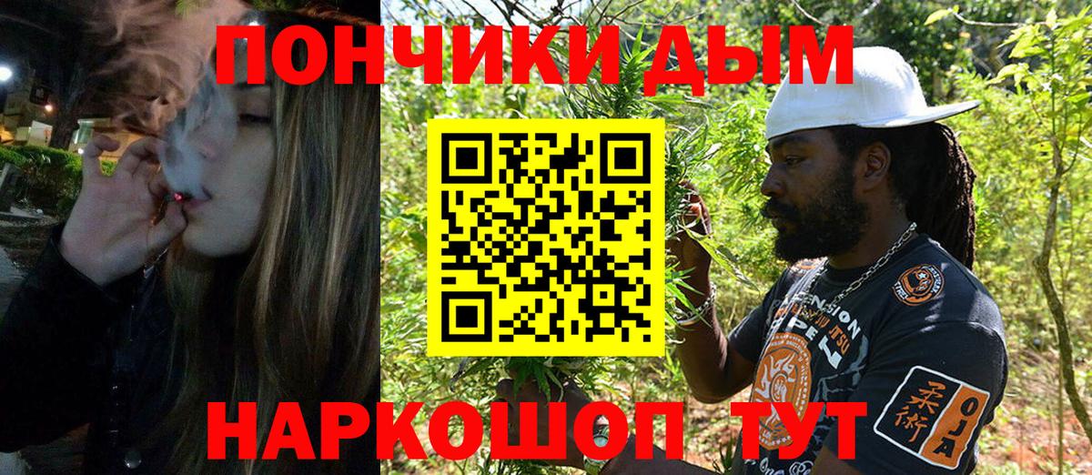 Канабис гибрид Краснознаменск